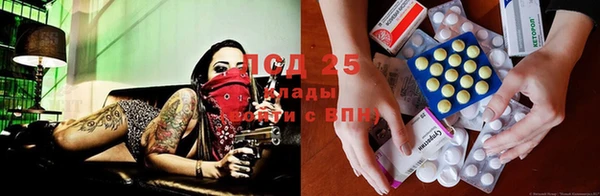 эйфоретик Новозыбков