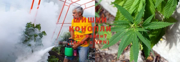спайс Новодвинск