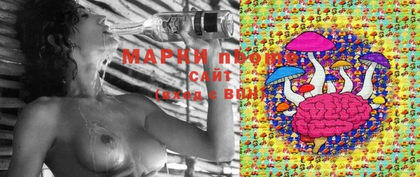 спайс Новодвинск