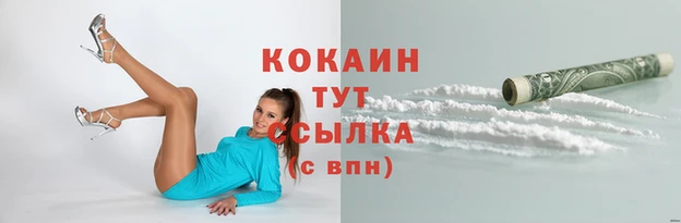 mdpv Новокубанск