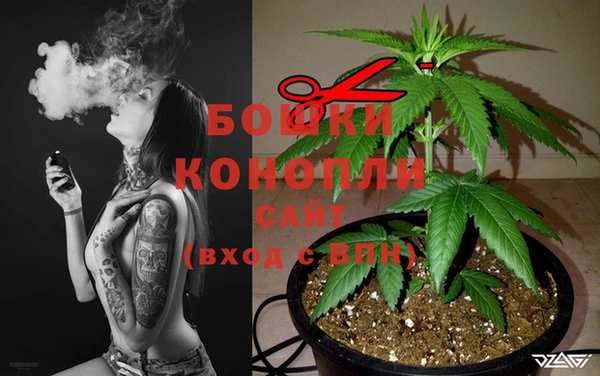 спайс Новодвинск