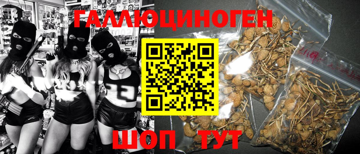 Галлюциногенные грибы Psilocybine cubensis  Галлюциногенные грибы GOLDEN TEACHER  Белореченск 